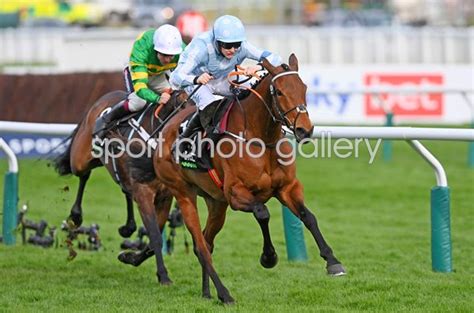 Cheltenham Festival 2022: Honeysuckle wins Champion Hurdle .